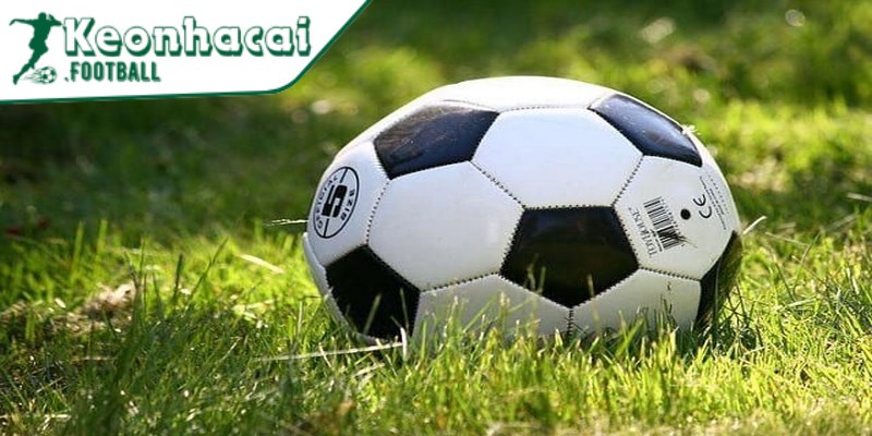 Hướng dẫn cách đọc kèo châu Á cho dân chơi mới