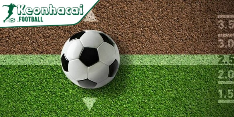 Quy tắc chơi dễ nhớ và bất cứ ai cũng có thể nắm rõ 