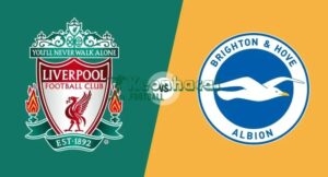 Soi kèo Liverpool vs Brighton - 22h00 ngày 13/12 - Ngoại hạng Anh