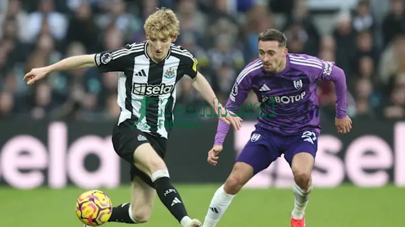 Soi kèo Newcastle vs Fulham - 3h15 ngày 18/12   