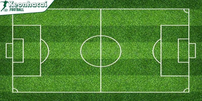 Có đa dạng loại hình sân vận động, mỗi loại phục vụ cho 1 bộ môn riêng