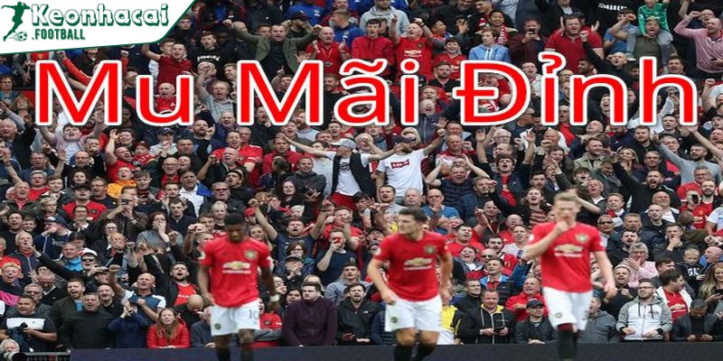Fan Mu tỏ ra "vô đối", thường xuyên bị đánh giá là thiếu tôn trọng fan đội khác