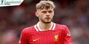 Bradley cũng sớm được gọi lên đội tuyển quốc gia