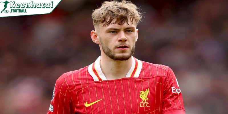 Bradley cũng sớm được gọi lên đội tuyển quốc gia